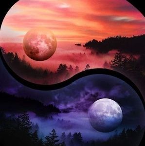 Meet your Posher, Gloria